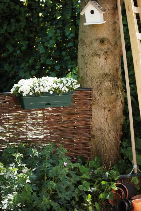 green basics balkonbak allin1 50cm blad groen